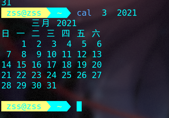 image-20210331101857059